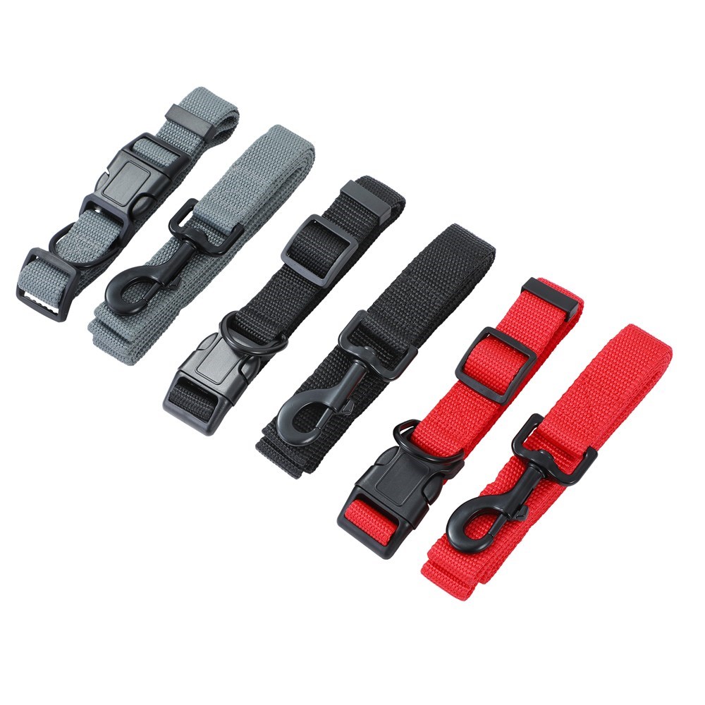 Essentials Dog Collar & Lead