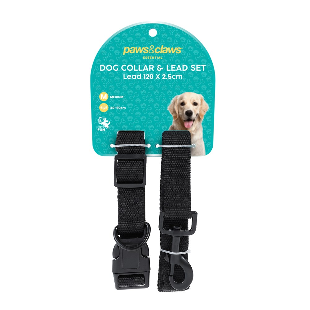 Essentials Dog Collar & Lead