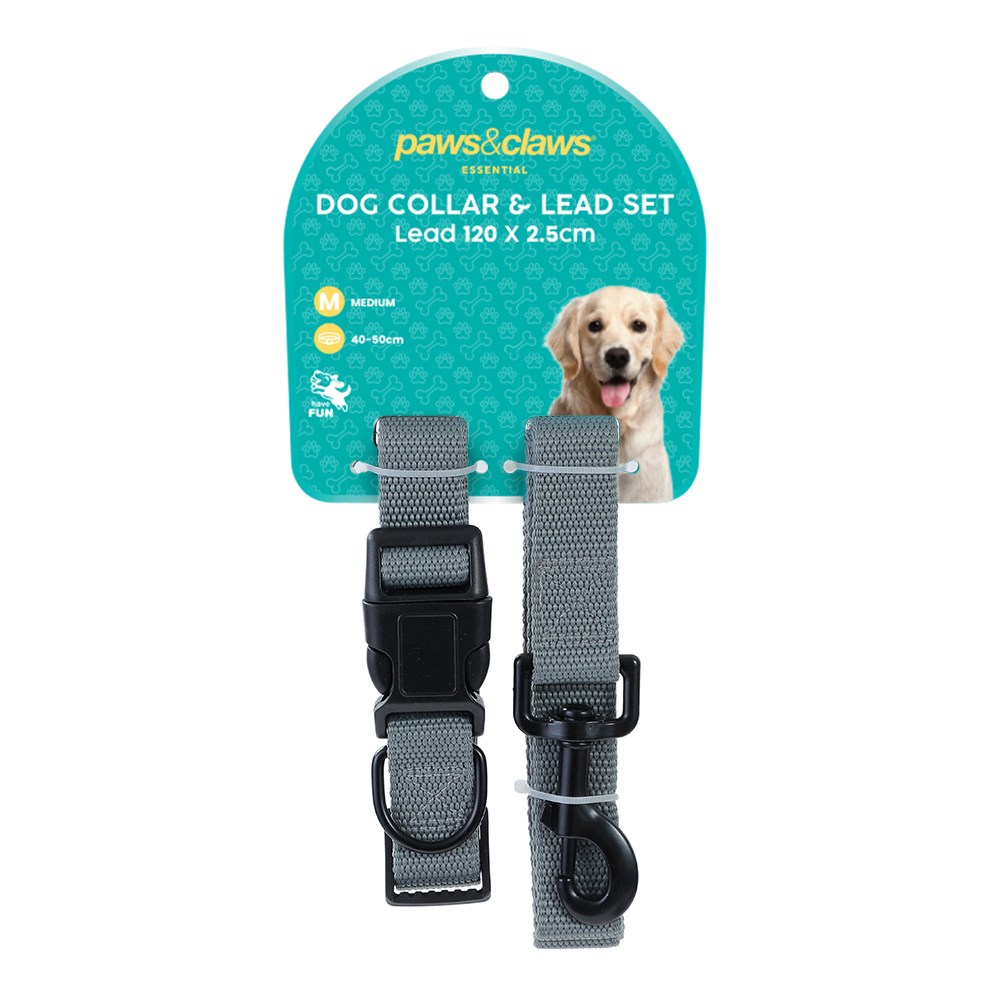 Essentials Dog Collar & Lead