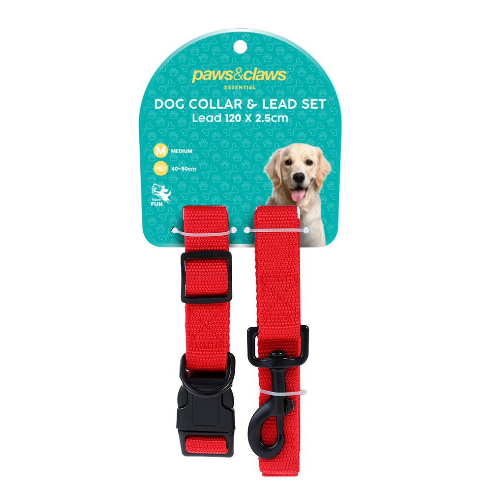 Essentials Dog Collar & Lead