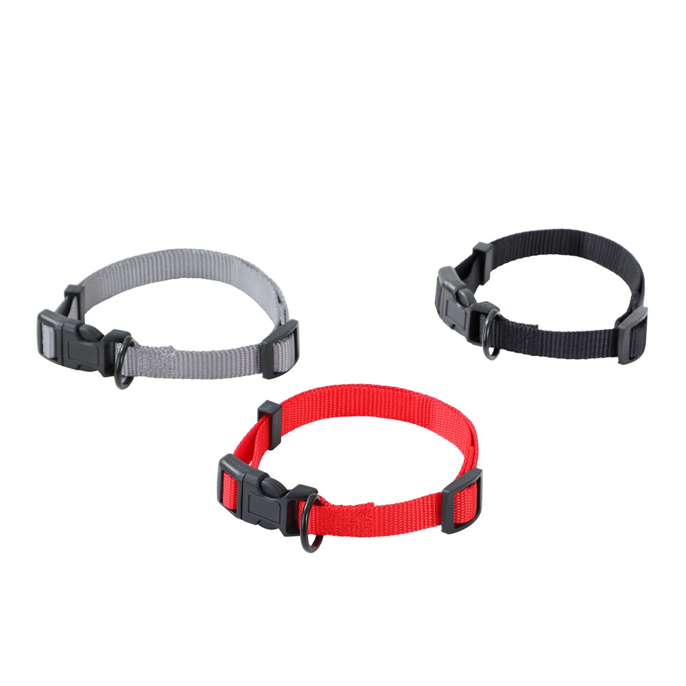 Essentials Dog Collar Sml