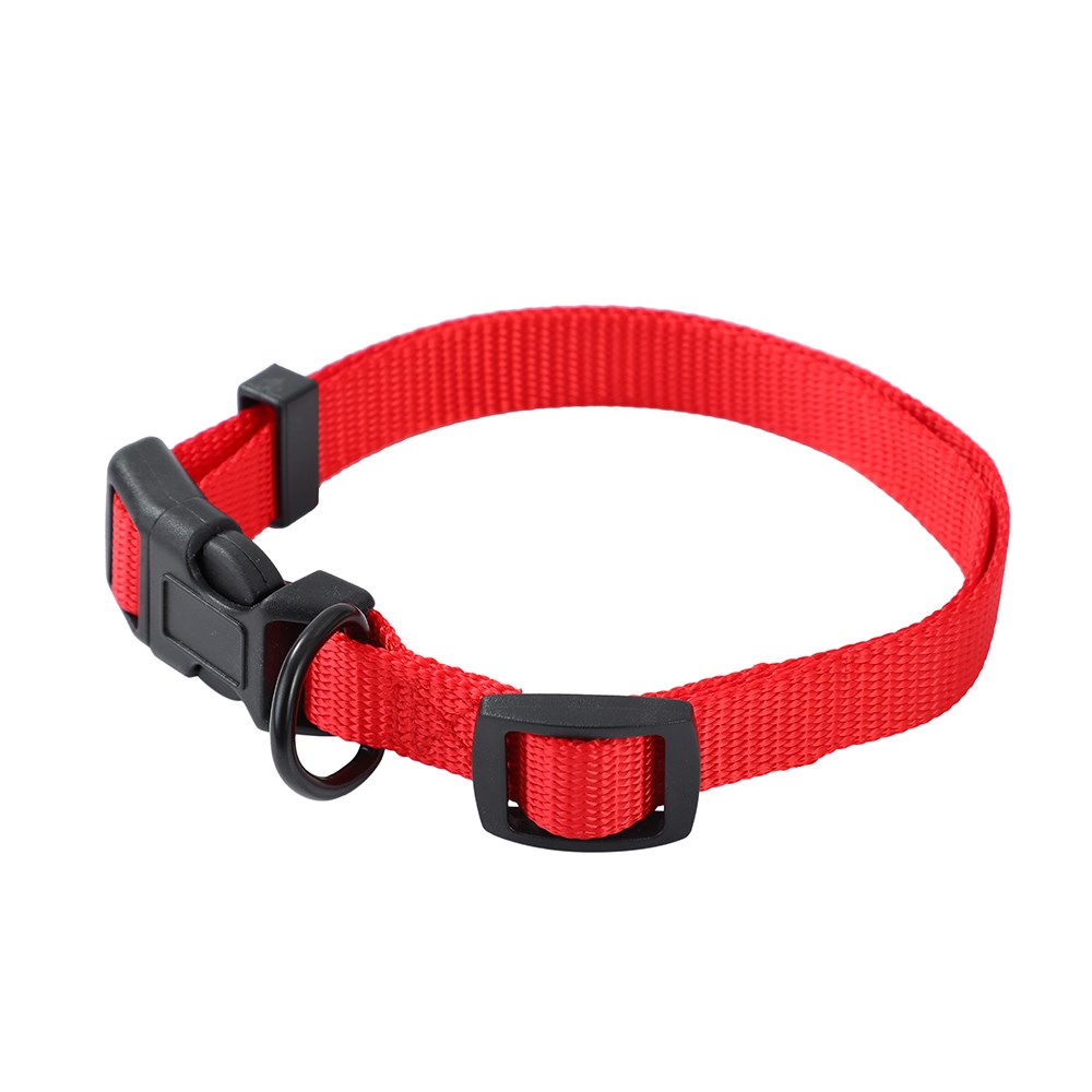 Essentials Dog Collar Sml