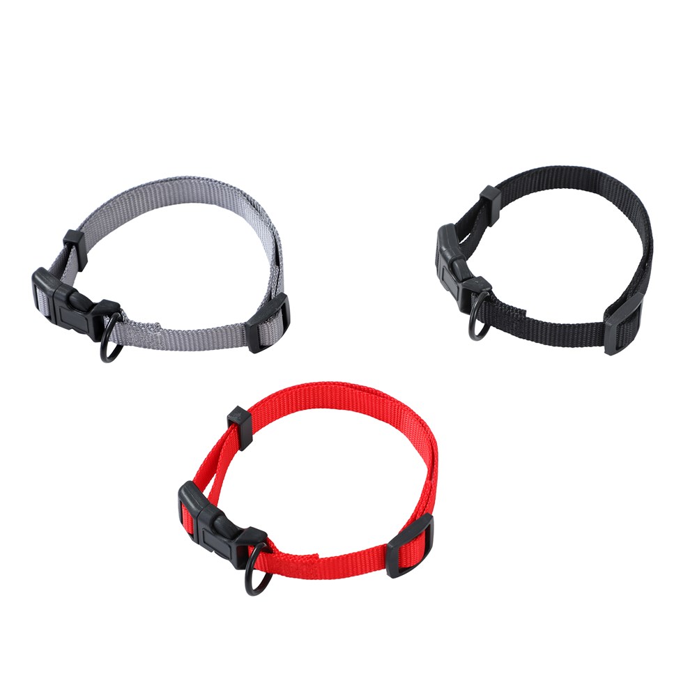 Essentials Dog Collar Sml