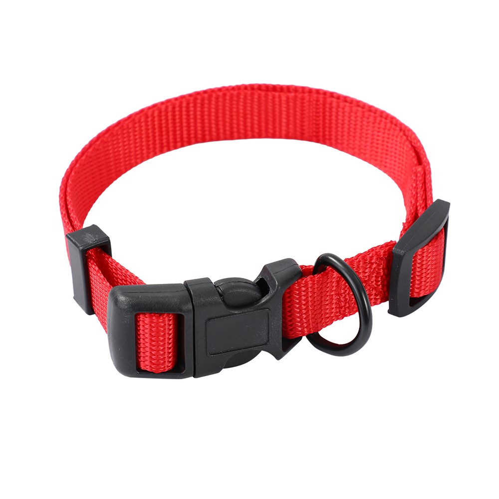 Essentials Dog Collar Sml