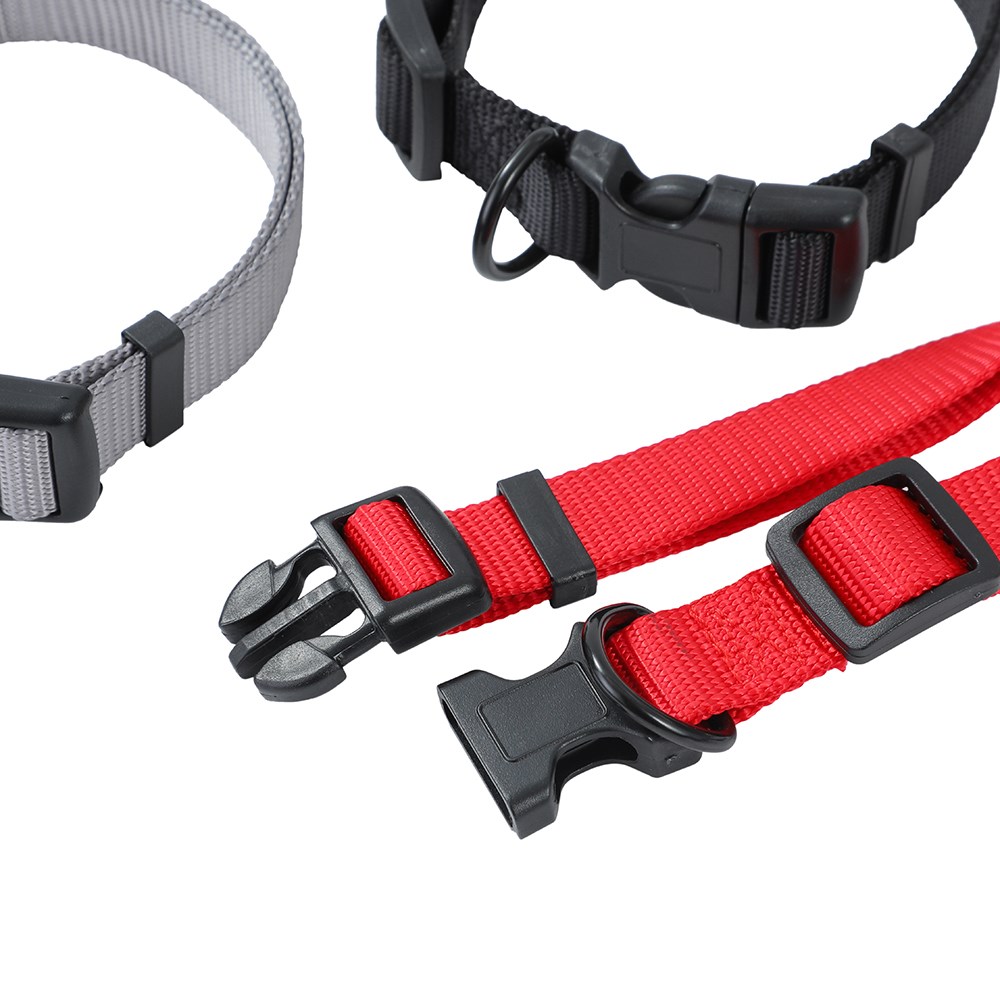 Essentials Dog Collar Med