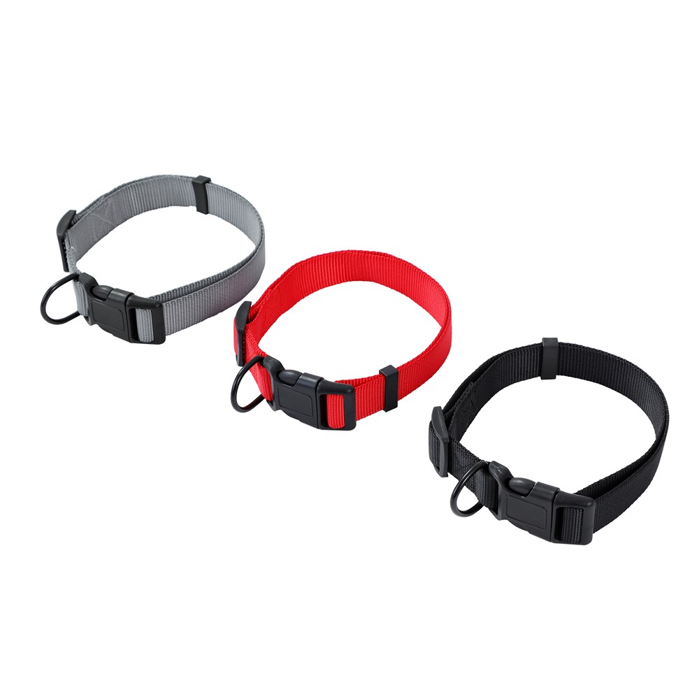 Essentials Dog Collar Lge