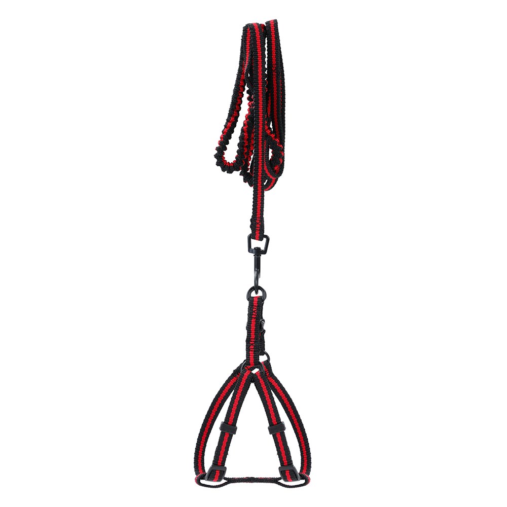 Stretchy Lead & Harness