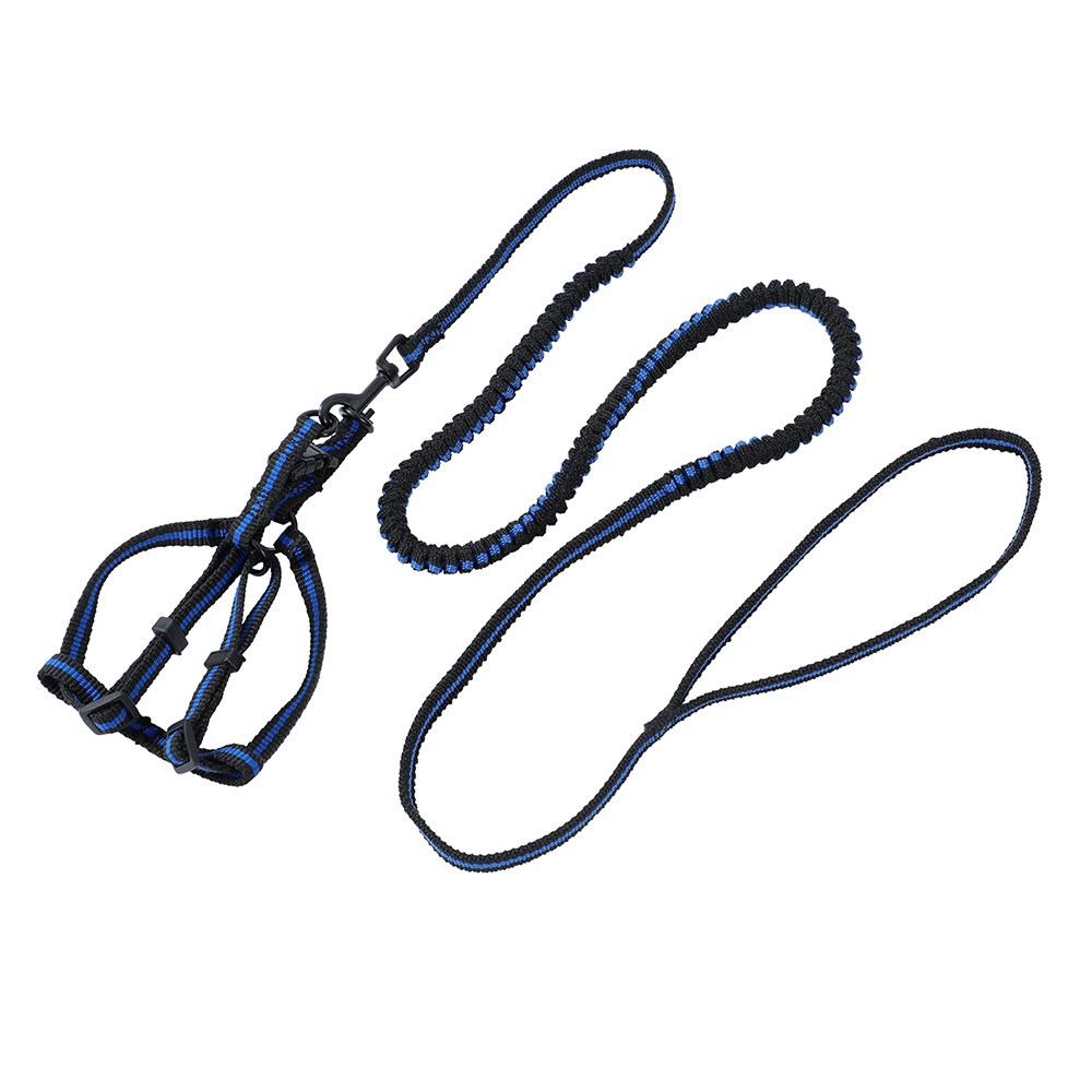 Stretchy Lead & Harness