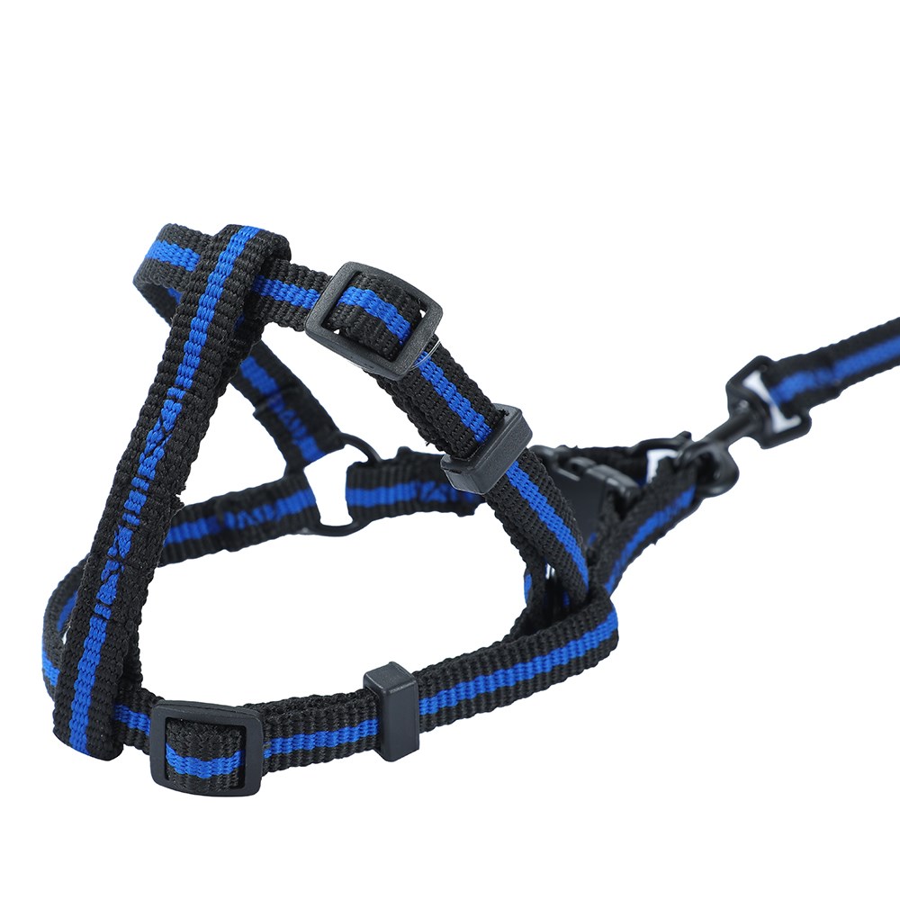 Stretchy Lead & Harness