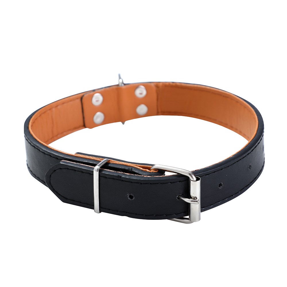 Premium Original Dog Collar