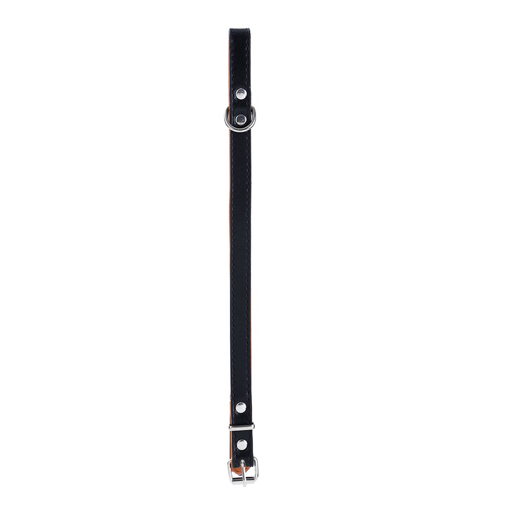 Premium Original Dog Collar