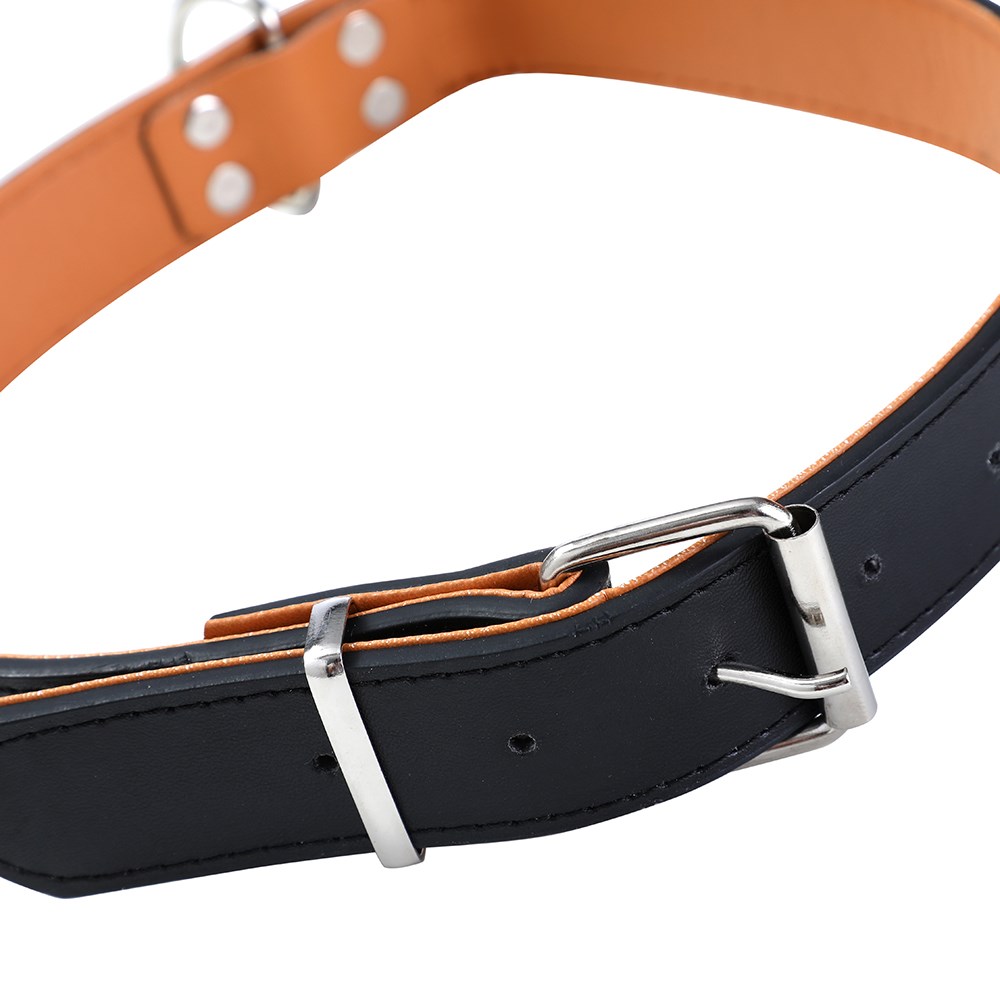Premium Original Dog Collar