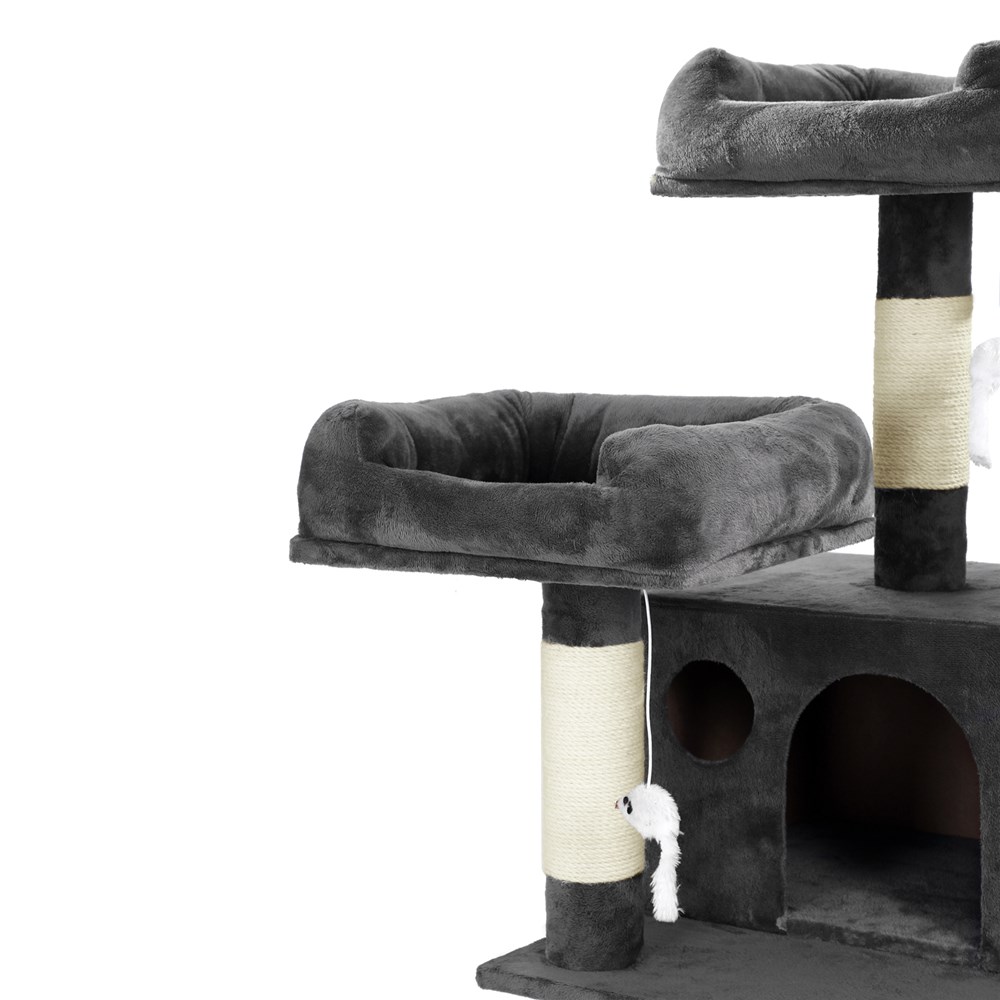 Catsby  Kensington Cat House
