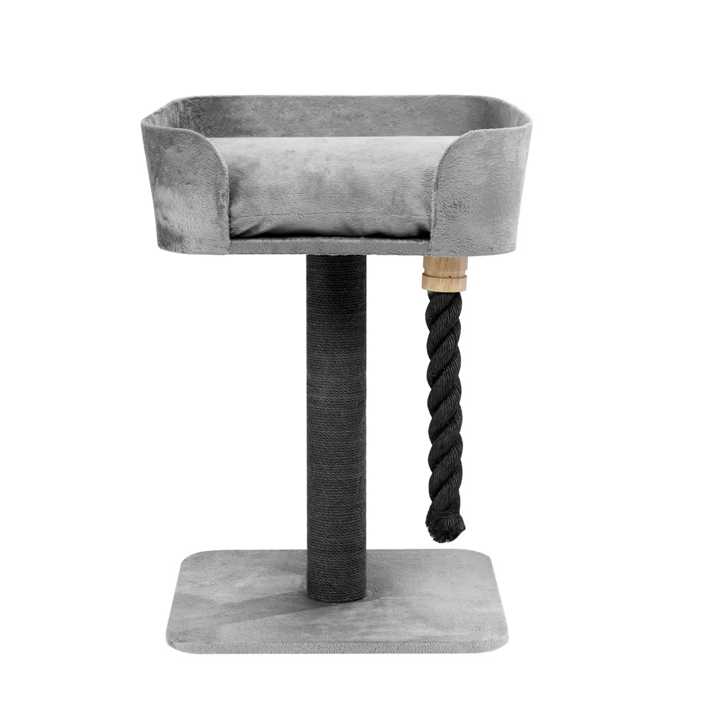 Catsby Fitzroy Scratching Post
